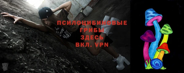 синтетический гашиш Гусь-Хрустальный