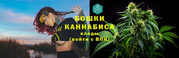 соль ск Гусев