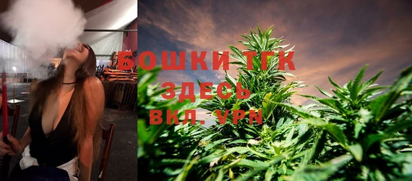 mix Гусиноозёрск