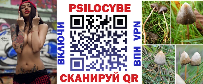 Галлюциногенные грибы Psilocybine cubensis  Купить закладки  Рыльск 